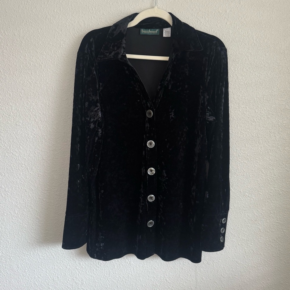 VTG Harvard‎ Benard Large Velour Crushed Velvet Button Down Whimsigoth Cardigan
